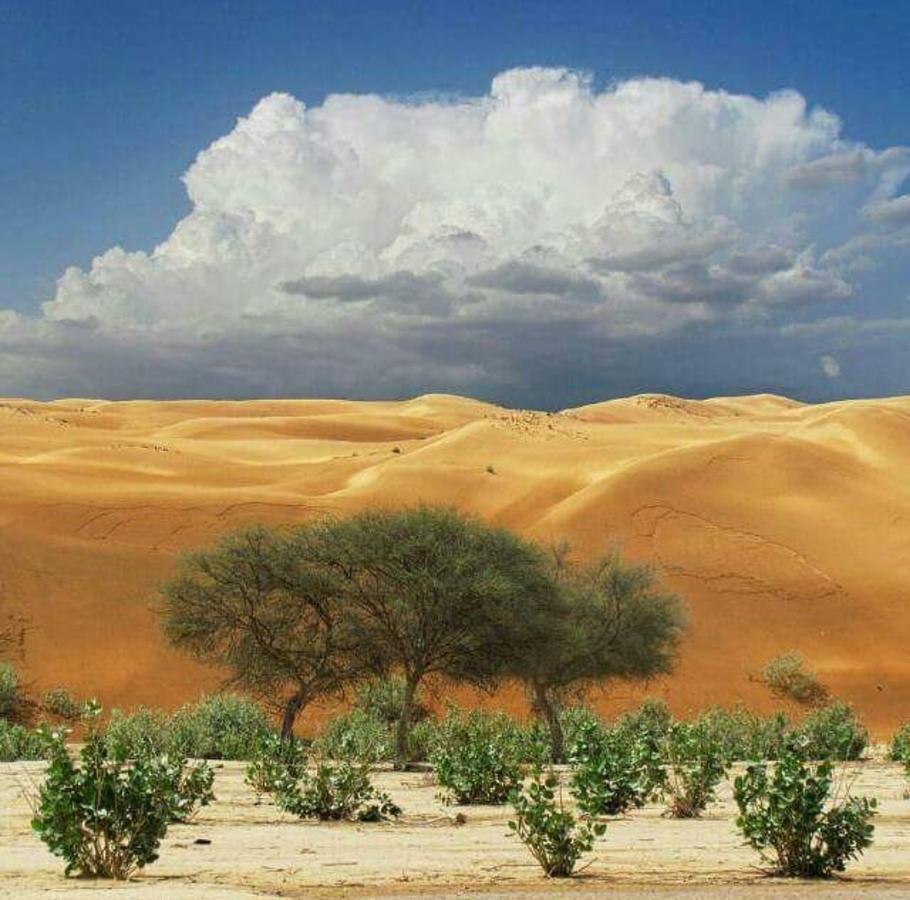 Al Salam Camp Tente de luxe