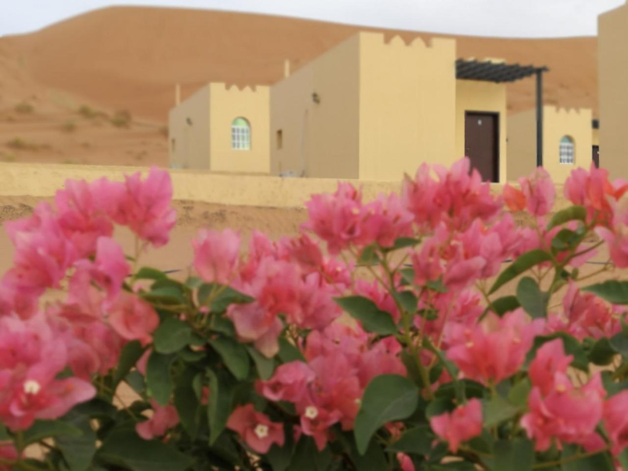 Al Salam Camp Al Qabil