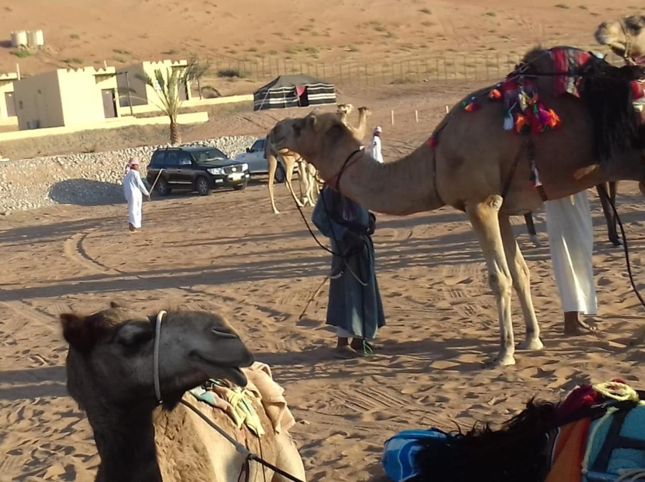 Tente de luxe Al Salam Camp Al Qabil